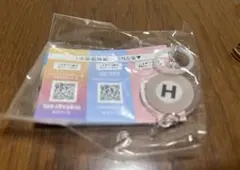 東京メトロ　つながるチャーム　日比谷線