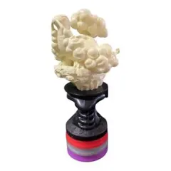 ポケモンバトルフィギュア　コータス　ホワイト 美品　送料無料