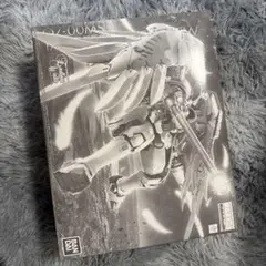 日焼けあり・未開封】MG 1/100 OZ-00MS トールギスF EW - メルカリ