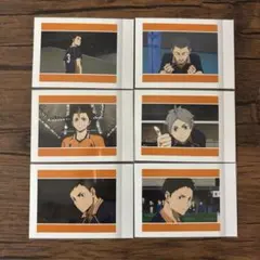 劇場版ハイキュー!! ゴミ捨て場の決戦 ぱしゃこれ vol.2 烏野