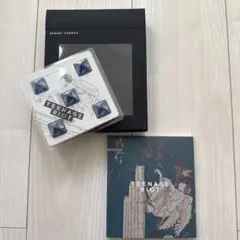 米津玄師　flamingo TEENAGE RIOT サイコロ　ティーンエイジ盤