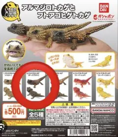 ガチャ　いきもの大図鑑　レプティ　アルマジロトカゲ (ダークブラウン)