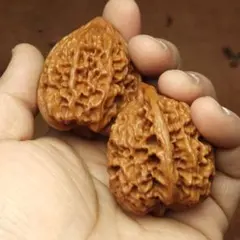 Item thumbnail for item 28597161-746b-4d0e-b25b-96c2a1455963