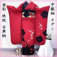 504z18.311u15.409y20.小物.レース衿☆人気！中振袖 モダン