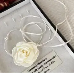 Item thumbnail for item 0b1868ff-2026-4164-82f6-73e7dfbac3dd