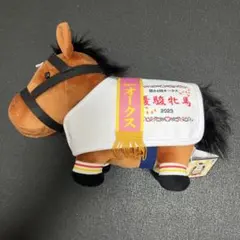 サラブレッドコレクション　馬服コスチュームぬいぐるみ　リバティアイランド