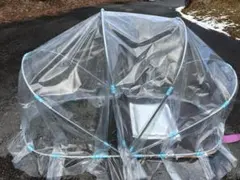 Item thumbnail for item 18ae5800-c4e8-4ac9-b77f-6006482e3804