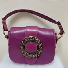 ANNA SUI アナスイ　アンナ レザー ショルダーバッグ2WAY