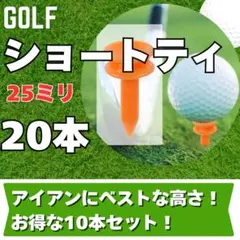 Item thumbnail for item f5781bb3-58c9-437b-bd07-fc3996ce7b10