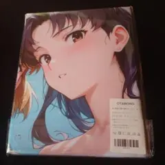 バスタオルタペストリー　葛城ミサト＆赤木リツコ　N43316 萌えタオル