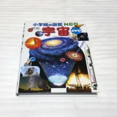 Item thumbnail for item cd4575da-70f4-4cfb-b5e9-e8bc1a2468b7