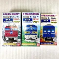 最終値下げ】Bトレインショーティー 小田急ロマンスカーVSE,MSE,GSE他