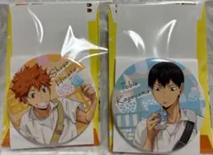 【4192】カラパレ ハイキュー!! より道 缶バッジ 烏野 2点