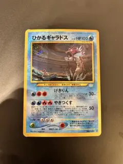 2026年最新】ひかるギャラドスの人気アイテム - メルカリ