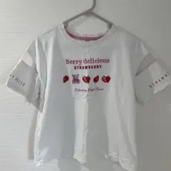 Item thumbnail for item 5b8198e7-6677-4f0c-bd2e-53f0825cafbd