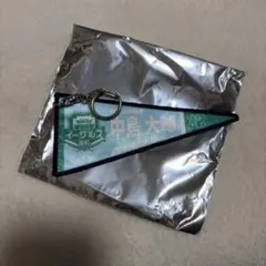 楽天イーグルス 中島大輔