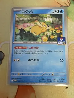 コダック：ジムプロモ PROMO SV-Pプロモカード 262/SV-P