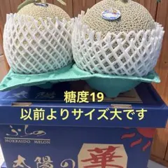 大サイズ 糖度19!! 「太陽の華」富良野メロン 2玉 品種：ティアラのサムネイル