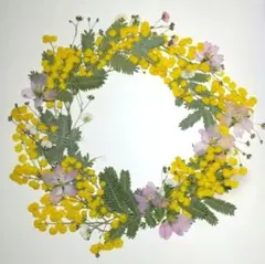 Item thumbnail for item 64dd9bf2-9bcd-44e5-8c2e-3260dd416e2b