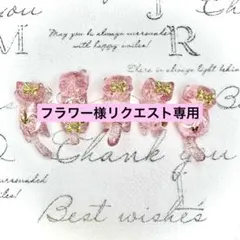 リクエスト専用　蝶々　雪景色　赤ホロラメ　猫　5個セット