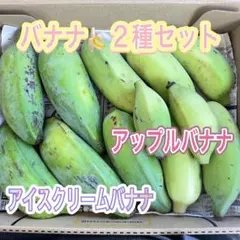 沖縄県産 バナナ2種 食べ比べセット 約1kg（アップル＆アイスクリーム）