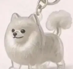 犬用毛玉入れキーホルダー けだまだま　犬　キーホルダー ポメラニアン