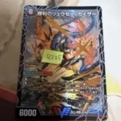 リュウセイカイザー