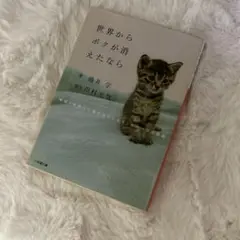世界からボクが消えたなら 映画「世界から猫が消えたなら」キャベツの物語