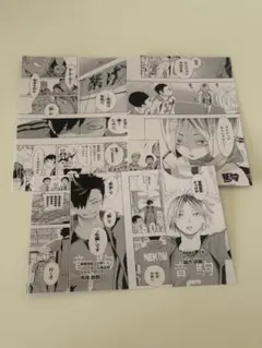 即日発送可 ハイキュー ポストカード 音駒高校 3枚セット