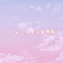 にゃんちゅう様専用
