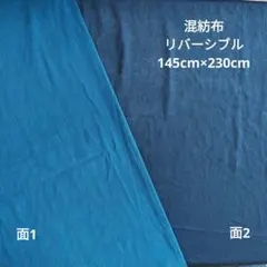 Item thumbnail for item 36e79ae5-4089-45b1-a886-cba0a94f2254