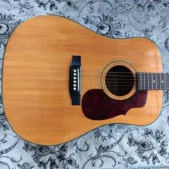 Humming Bird Custom Cat's Eyes 東海製Tokai 2026年最新】tokai humming birdの人気アイテム - メルカリ
