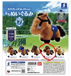 サラブレッドコレクション ぷちぬいぐるみ 7 ベラジオオペラ