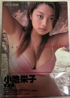 直筆サイン入り　honeydew 小池栄子写真集