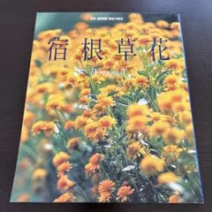 別冊　NHK 趣味の園芸　毎年花咲く　宿根草花