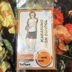 ハイキュー　月島蛍　アクリルスタンド　①