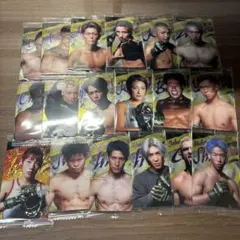 RIZINトレーディングカード 18枚セット