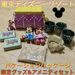 東京ディズニーリゾート バケーションパッケージ　限定グッズ&アメニティセット
