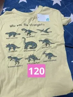 Item thumbnail for item 49a00d17-97bb-46c0-9d4d-269f5cc1d423