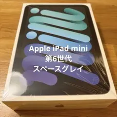ipad 本体 mini
