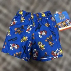 Item thumbnail for item 5ccdf93a-7509-452e-904d-558935ee05ee