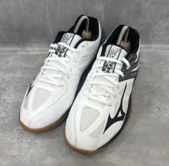 ミズノ MIZUNO 24.5cm サンダーブレード2 バレーボールシューズ