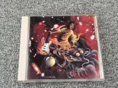 喜納昌吉&チャンプルーズ すべての武器を楽器に