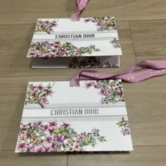 【限定美品】Dior ディオール ショッパー 紙袋 2枚セット