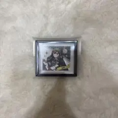 カラピチ　うり　マグネット