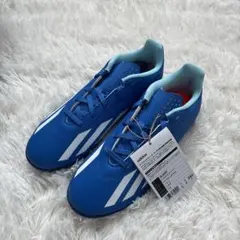 Item thumbnail for item a5a428ea-c529-4e98-9834-3f19da80142a