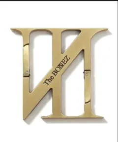 【新品・未使用】TheBONEZ N-Logo Shaped Carabiner