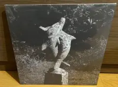 青葉市子　シングルコレクション　LP レコード　新品未使用 SINGLE COLLECTION 2020-2024 | ICHIKO AOBA WEB SHOP