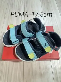 PUMA エボルブ キッズ サンダル 17.5cm サンダルのみ！