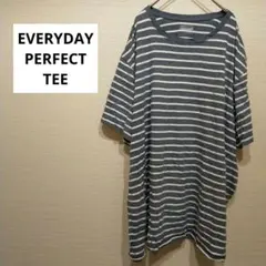 EVERYDAY PERFECT TEE Tシャツ カットソー ストライプ